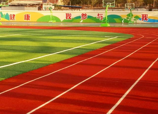 美国队全场 美国队全场